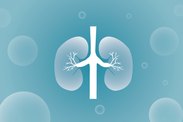 泌尿系統(tǒng)，腎臟，膀胱，尿病，腎不好遺傳病、基因病、罕見病的基因解碼，基因檢測，基因篩查與分子診斷