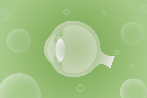 眼科，視光中心，眼科診所，眼睛相關(guān)遺傳病、基因病、罕見病的基因解碼，基因檢測，基因篩查與分子診斷