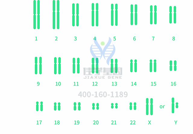 【佳學基因檢測】做多發(fā)性骨髓瘤易位1114型基因解碼、<a  data-cke-saved-href=http://sushiinoueharlem.com/tk/jiema/cexujishu/2021/31933.html href=http://sushiinoueharlem.com/tk/jiema/cexujishu/2021/31933.html>基因檢測</a>需要多少錢？