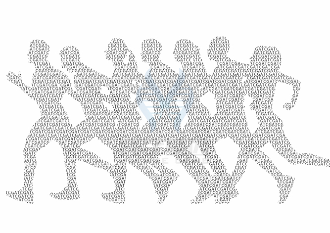 【佳學(xué)基因檢測(cè)】做癌癥進(jìn)展和轉(zhuǎn)移基因解碼、<a  data-cke-saved-href=http://sushiinoueharlem.com/tk/jiema/cexujishu/2021/31933.html href=http://sushiinoueharlem.com/tk/jiema/cexujishu/2021/31933.html>基因檢測(cè)</a>需要到總部嗎？