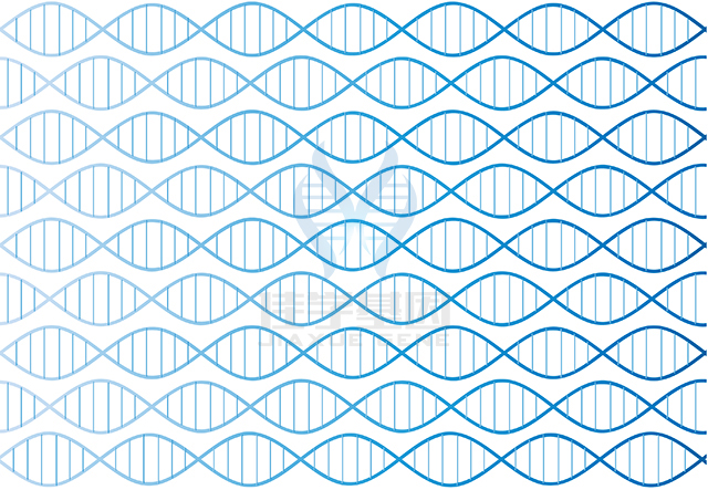 【佳學(xué)基因檢測(cè)】做外側(cè)脊膜膨出癥基因解碼、<a href=http://sushiinoueharlem.com/tk/jiema/cexujishu/2021/31933.html>基因檢測(cè)</a>方便嗎？