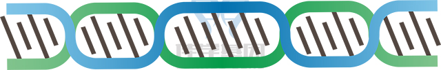【佳學基因檢測】急性粒細胞白血病M6型基因解碼、<a href=http://sushiinoueharlem.com/tk/jiema/cexujishu/2021/31933.html>基因檢測</a>報告時間是一樣的嗎？