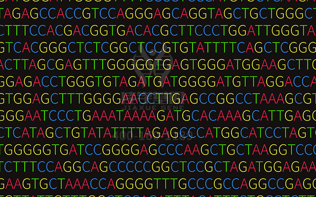 【佳學(xué)基因檢測】多發(fā)性乳腺纖維瘤基因解碼、<a href=http://sushiinoueharlem.com/tk/jiema/cexujishu/2021/31933.html>基因檢測</a>的報告有人解讀嗎？