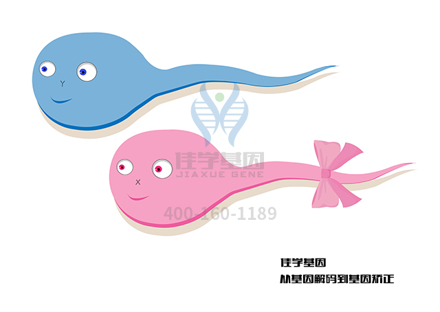 【佳學基因檢測】需要多長時間可以拿Müllerian發(fā)育不全和雄激素過多癥基因解碼、<a href=http://sushiinoueharlem.com/tk/jiema/cexujishu/2021/31933.html>基因檢測</a>報告？