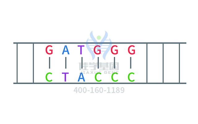 【佳學(xué)基因檢測】布倫納綜合征基因檢測有助于早日診斷