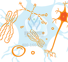 【佳學(xué)基因檢測】神經(jīng)纖維瘤病1型基因解碼、<a  data-cke-saved-href=http://sushiinoueharlem.com/tk/jiema/cexujishu/2021/31933.html href=http://sushiinoueharlem.com/tk/jiema/cexujishu/2021/31933.html>基因檢測</a>的樣品有區(qū)別嗎？