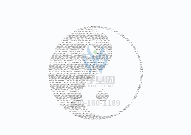 【佳學(xué)基因檢測(cè)】做網(wǎng)狀色素皮病基因解碼、<a  data-cke-saved-href=http://sushiinoueharlem.com/tk/jiema/cexujishu/2021/31933.html href=http://sushiinoueharlem.com/tk/jiema/cexujishu/2021/31933.html>基因檢測(cè)</a>需要多長(zhǎng)時(shí)間？