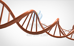【佳學(xué)基因檢測】怎么做常染色體隱性廣泛性甲狀腺激素抵抗基因解碼、<a href=http://sushiinoueharlem.com/tk/jiema/cexujishu/2021/31933.html>基因檢測</a>?