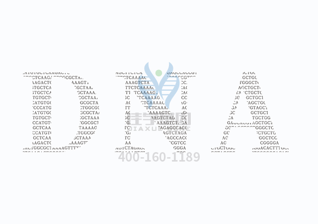 【佳學(xué)基因檢測(cè)】生精障礙10型基因解碼、<a href=http://sushiinoueharlem.com/tk/jiema/cexujishu/2021/31933.html>基因檢測(cè)</a>怎么預(yù)約解讀？