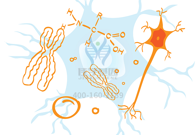 【佳學(xué)基因檢測(cè)】怎么做生精障礙12型基因解碼、<a href=http://sushiinoueharlem.com/tk/jiema/cexujishu/2021/31933.html>基因檢測(cè)</a>?