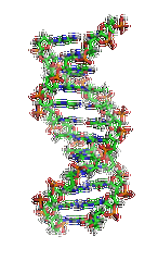 【佳學(xué)基因檢測(cè)】做先天性缺牙基因解碼、<a href=http://sushiinoueharlem.com/tk/jiema/cexujishu/2021/31933.html>基因檢測(cè)</a>需要到總部嗎？