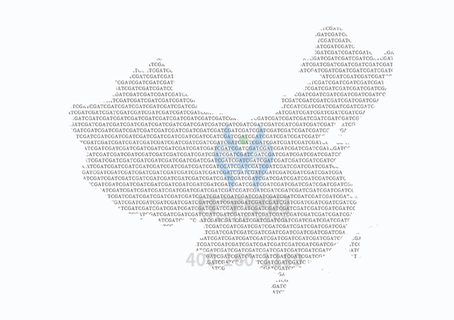 【佳學(xué)基因檢測(cè)】SDHB相關(guān)疾病基因解碼、<a href=http://sushiinoueharlem.com/tk/jiema/cexujishu/2021/31933.html>基因檢測(cè)</a>可以只做基因解碼嗎？