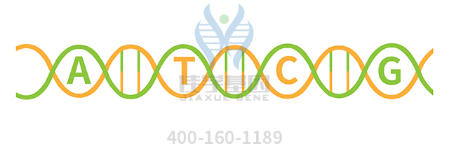 【佳學(xué)基因檢測】Townes-Brocks-branchiootorenal樣綜合征基因解碼、<a href=http://sushiinoueharlem.com/tk/jiema/cexujishu/2021/31933.html>基因檢測</a>可以只做基因解碼嗎？