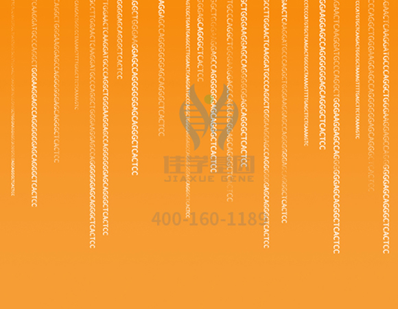 【佳學(xué)基因解碼-<a href=http://sushiinoueharlem.com/tk/jiema/cexujishu/2021/31933.html>基因檢測</a>】這些舉動竟讓<font color='red'>脫發(fā)</font>的女孩們重拾自信！