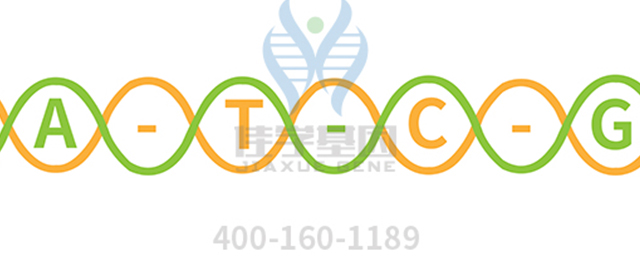 【佳學(xué)基因檢測】根本病（Nemoto disease)基因解碼、<a href=http://sushiinoueharlem.com/tk/jiema/cexujishu/2021/31933.html>基因檢測</a>