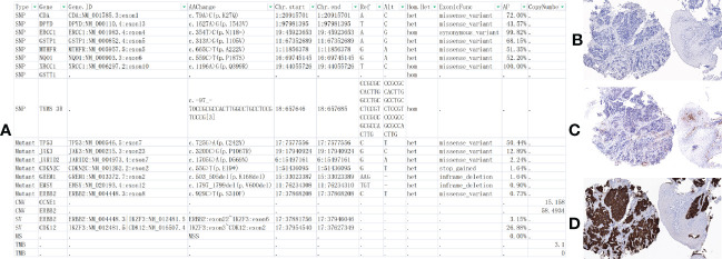 An external file that holds a picture, illustration, etc.
Object name is fimmu-13-1049518-g004.jpg