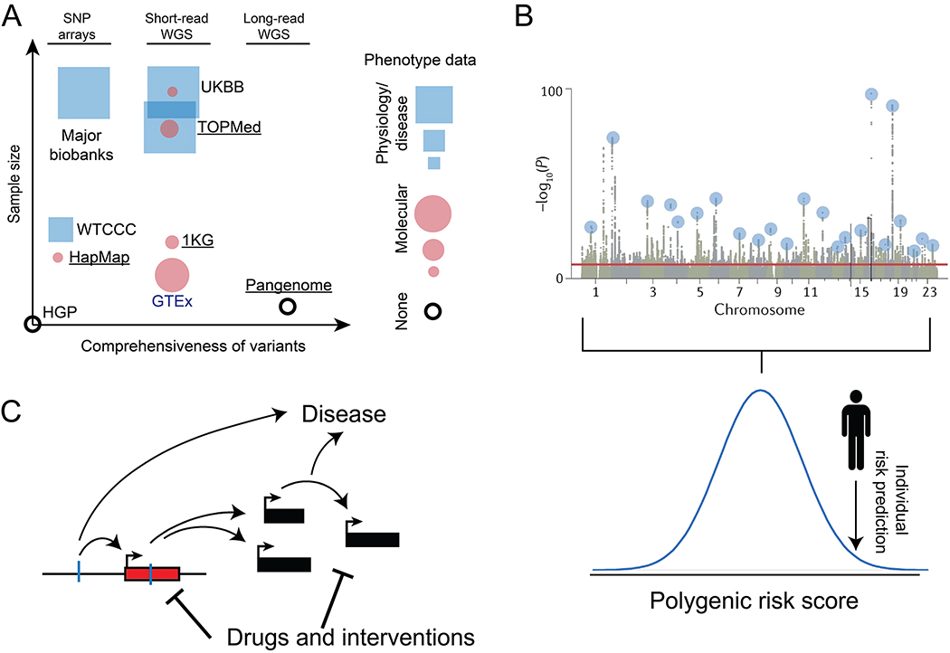 人類基因解碼數(shù)據(jù)集及其作用